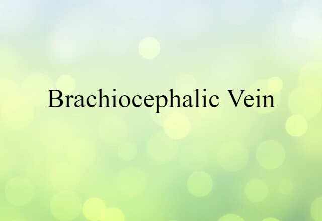 Brachiocephalic Vein (noun) Definition, Meaning & Examples