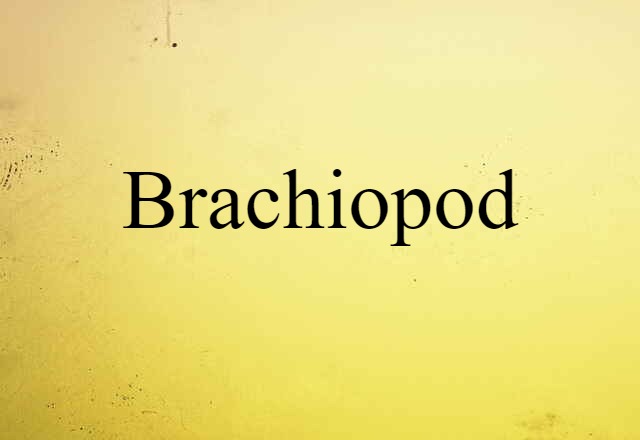 Brachiopod (noun) Definition, Meaning & Examples