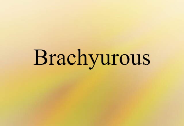 Brachyurous (noun) Definition, Meaning & Examples