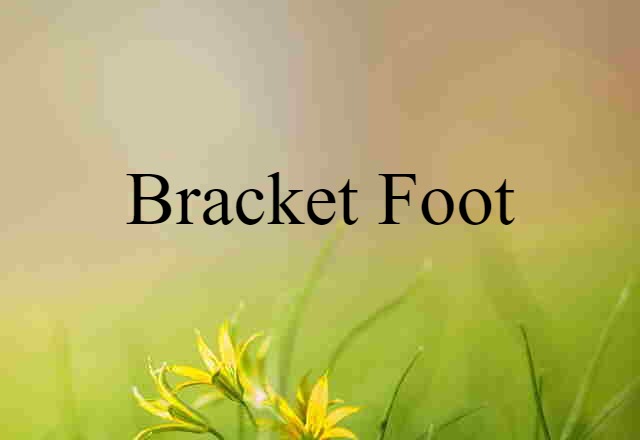 Bracket Foot (noun) Definition, Meaning & Examples