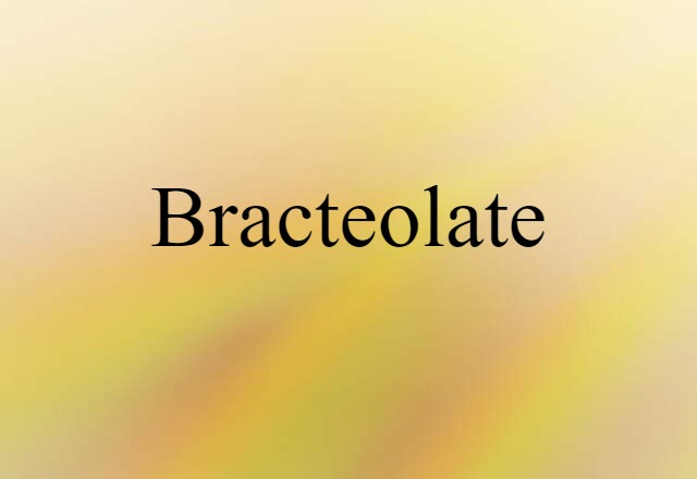 Bracteolate (noun) Definition, Meaning & Examples