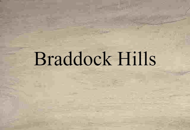 Braddock Hills (noun) Definition, Meaning & Examples