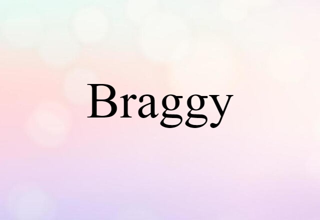 Braggy (noun) Definition, Meaning & Examples