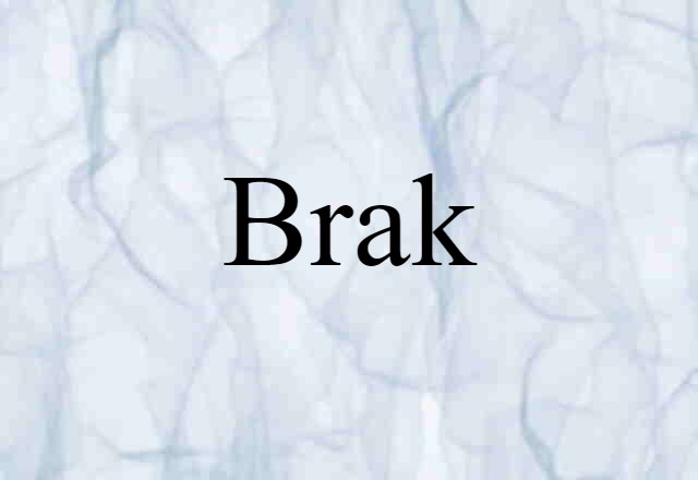 Brak (noun) Definition, Meaning & Examples