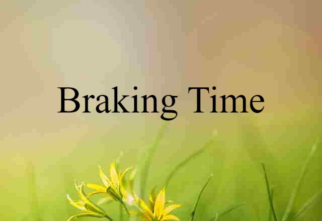 Braking Time (noun) Definition, Meaning & Examples