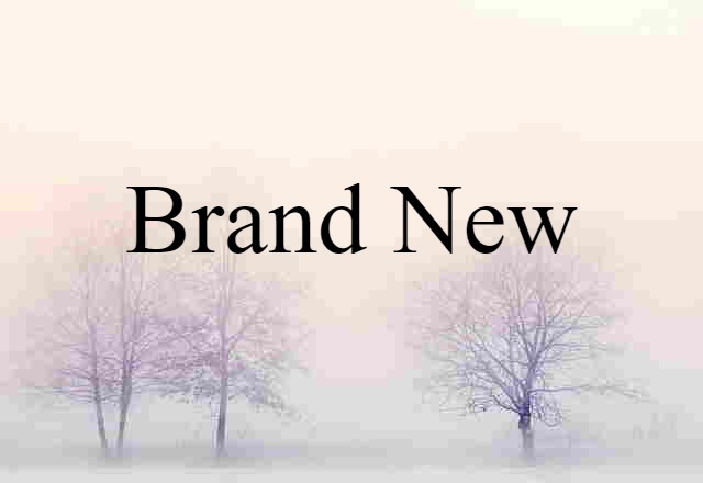 Brand-new (noun) Definition, Meaning & Examples