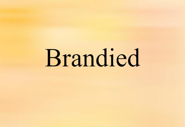 Brandied (noun) Definition, Meaning & Examples