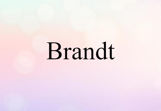 Brandt (noun) Definition, Meaning & Examples