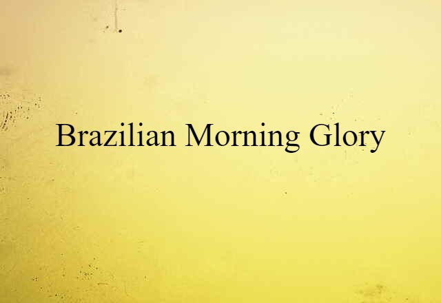 Brazilian morning glory