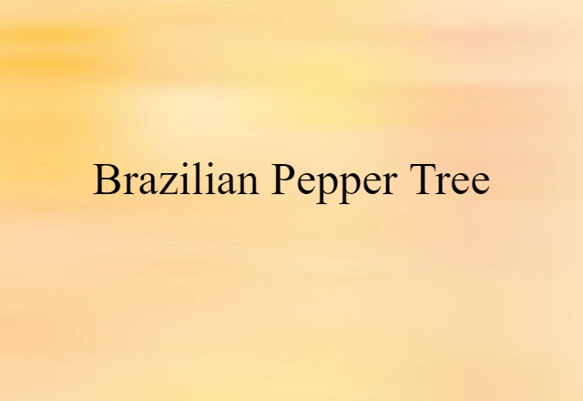 Brazilian pepper tree