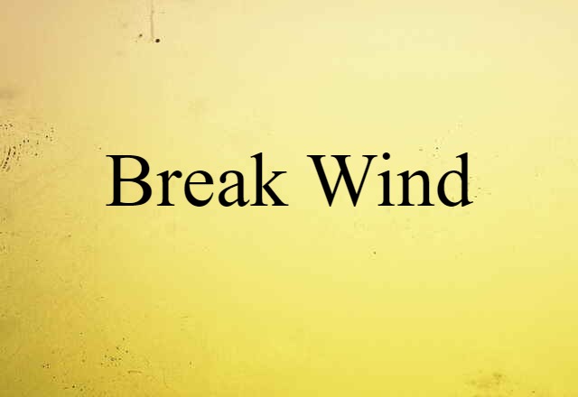 Break Wind (noun) Definition, Meaning & Examples