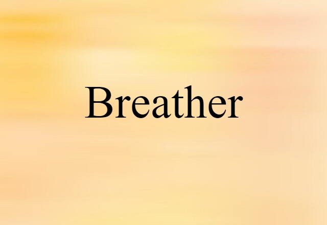 Breather (noun) Definition, Meaning & Examples