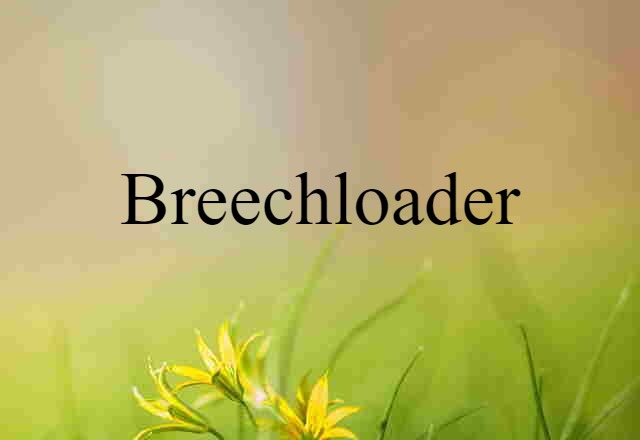 Breechloader (noun) Definition, Meaning & Examples