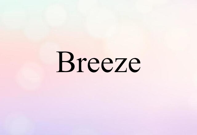 Breeze (noun) Definition, Meaning & Examples