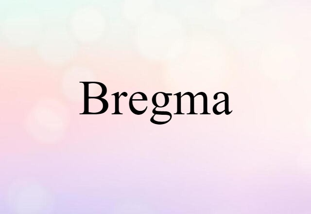 Bregma (noun) Definition, Meaning & Examples