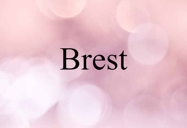 Brest (noun) Definition, Meaning & Examples