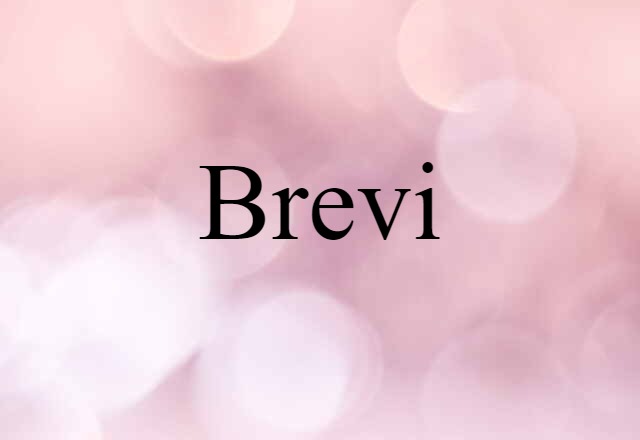 Brevi- (noun) Definition, Meaning & Examples