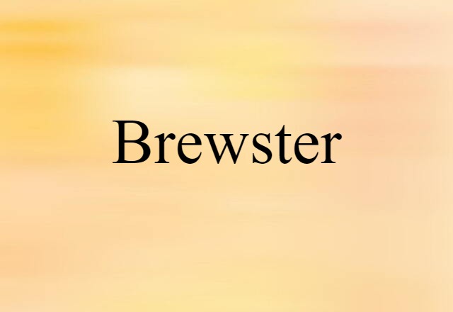 Brewster (noun) Definition, Meaning & Examples