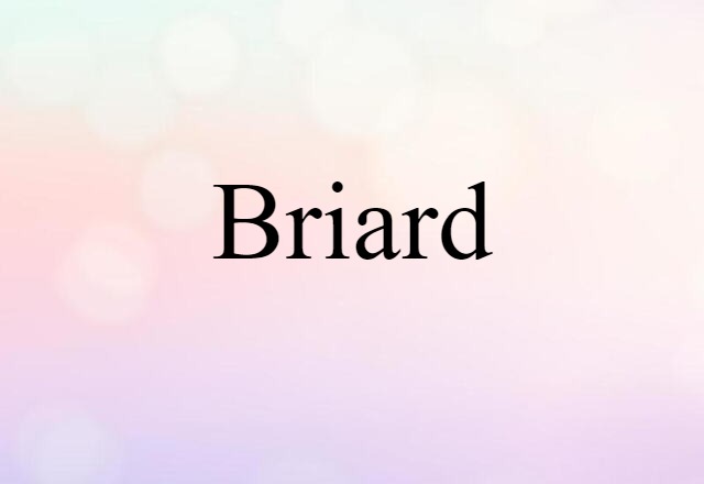 Briard (noun) Definition, Meaning & Examples