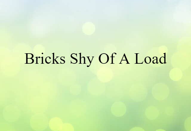 Bricks Shy Of A Load (noun) Definition, Meaning & Examples