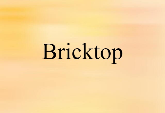 Bricktop (noun) Definition, Meaning & Examples