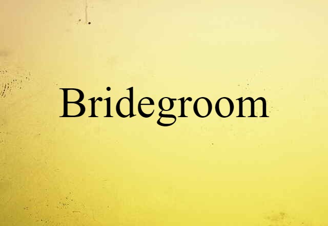 bridegroom