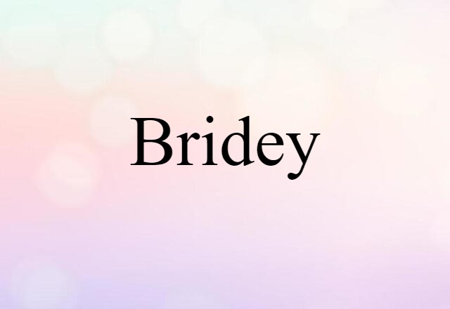 Bridey (noun) Definition, Meaning & Examples