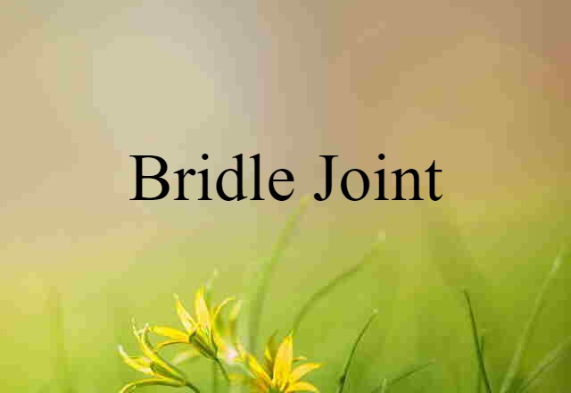 Bridle Joint (noun) Definition, Meaning & Examples