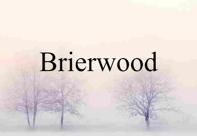 Brierwood (noun) Definition, Meaning & Examples