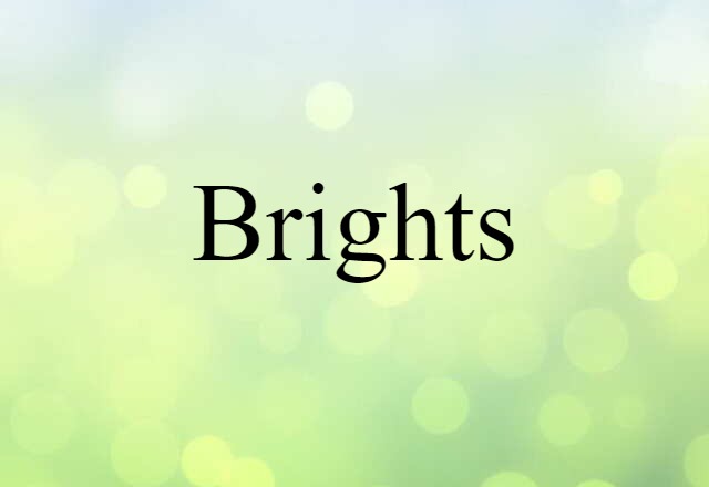 Brights (noun) Definition, Meaning & Examples