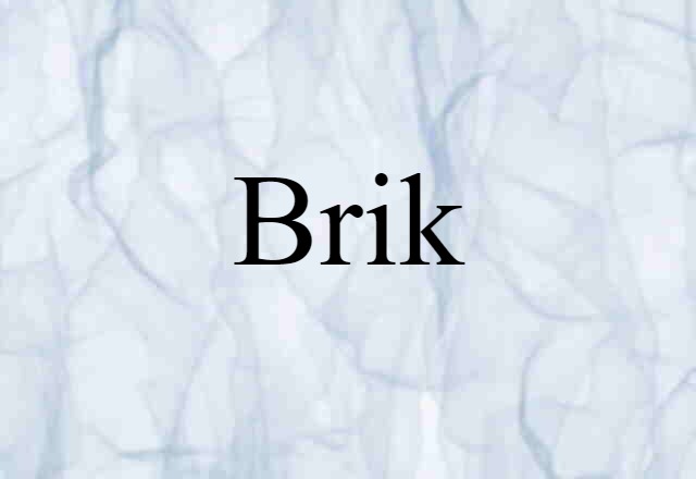 Brik (noun) Definition, Meaning & Examples