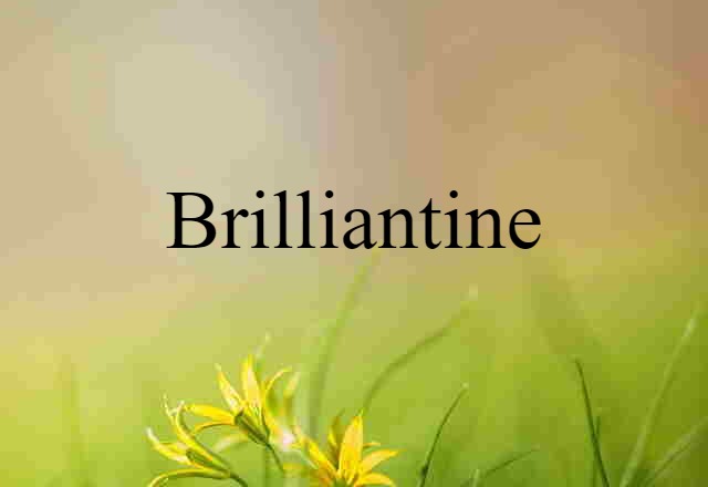 Brilliantine (noun) Definition, Meaning & Examples