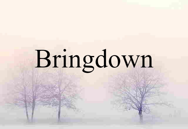 Bringdown (noun) Definition, Meaning & Examples