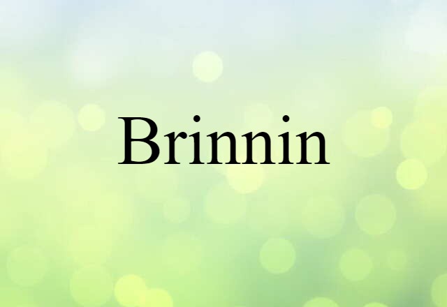 Brinnin (noun) Definition, Meaning & Examples