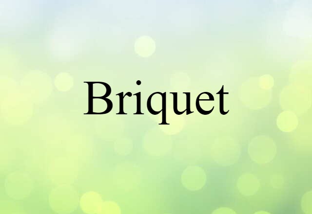 Briquet (noun) Definition, Meaning & Examples