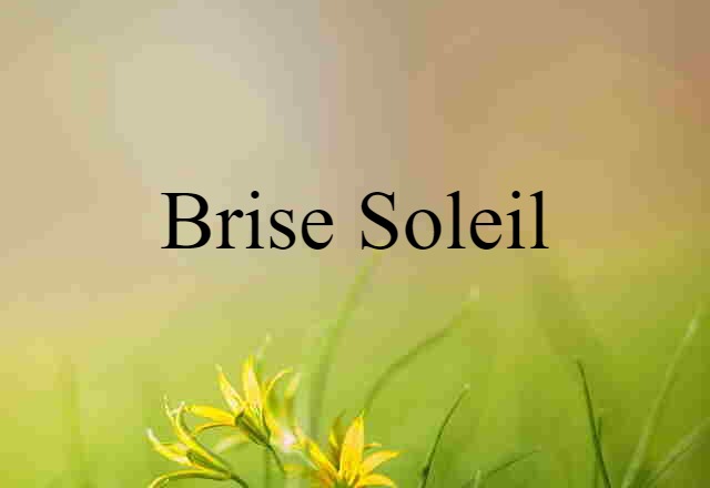 brise soleil