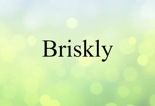 Briskly (noun) Definition, Meaning & Examples