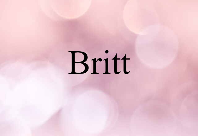 Britt (noun) Definition, Meaning & Examples