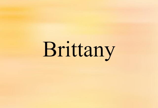 Brittany (noun) Definition, Meaning & Examples