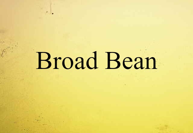 broad bean