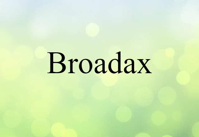 Broadax (noun) Definition, Meaning & Examples