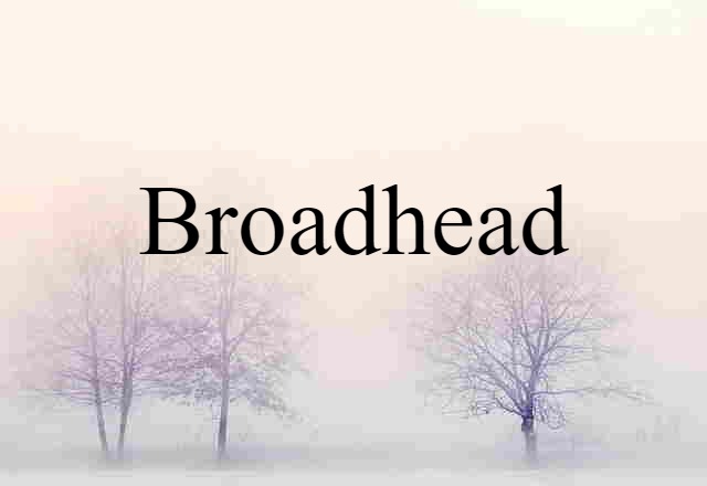 broadhead