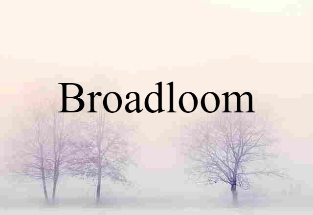 Broadloom (noun) Definition, Meaning & Examples