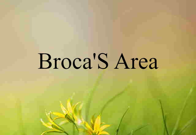 Broca's Area (noun) Definition, Meaning & Examples