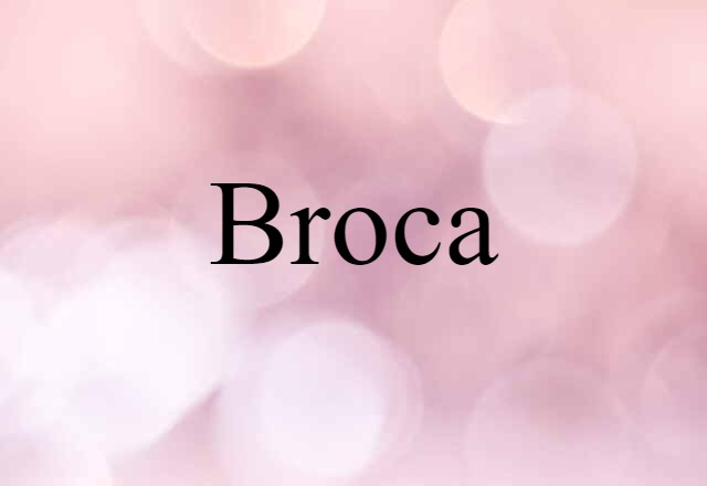 Broca (noun) Definition, Meaning & Examples