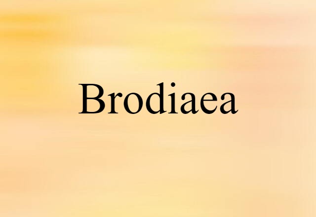 Brodiaea (noun) Definition, Meaning & Examples