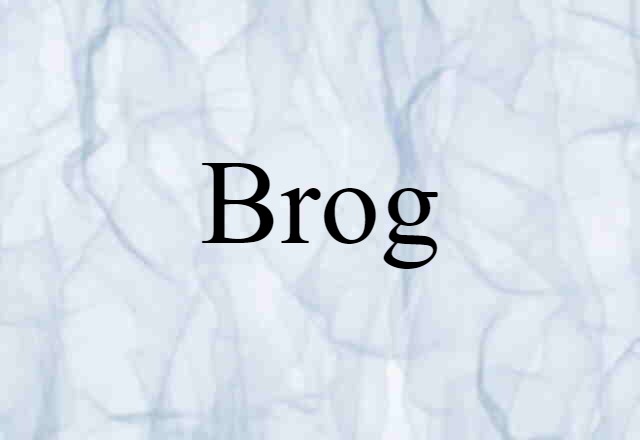 Brog (noun) Definition, Meaning & Examples