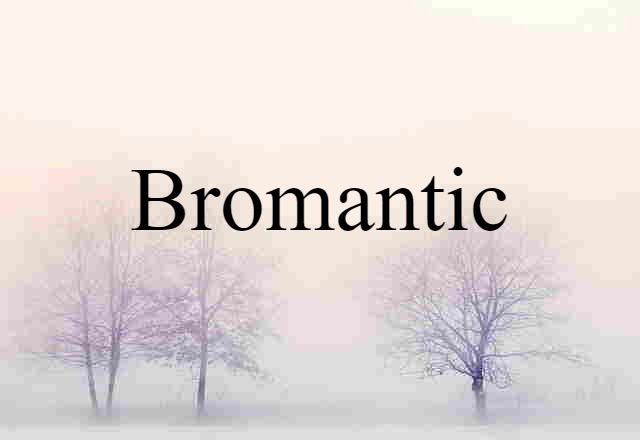 Bromantic (noun) Definition, Meaning & Examples