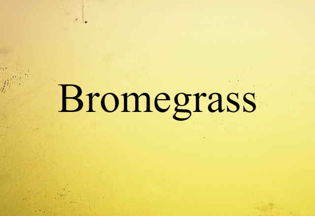 Bromegrass (noun) Definition, Meaning & Examples