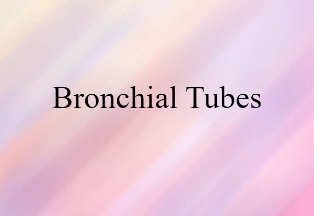 bronchial tubes